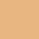 Плитка керамогранітна Vodevil Beige 200x200x8 Vives (4P13)
