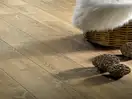 Beauty Floor Ламінат Солід плюс 622W "ІН" Діамант   Дуб балеар., 12мм ,5G Epi Flooring (00545483)