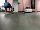 Beauty Floor Ламінат Амбер 542 Вулкан 33кл 10мм 5G Alsapan ФРАНЦІЯ (00561958)