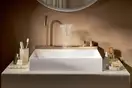 Раковина Hansgrohe Avalegra AquaUnit 58 х 47,5 х 10 см, без переливу, з функцією QuickClean+, із змішувачем, Brushed Bronze  22472140