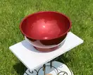 Snail Селена Умивальник накладний, бордо (104H200)