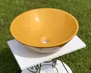 Snail Камелія Умивальник накладний, Золото (147T999)