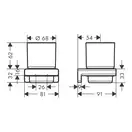 Склянка підвісна Hansgrohe AddStoris, Brushed Black/скло (41749340)