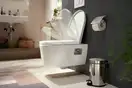 Кришка для унітазу SoftClose QuickRelease Hansgrohe EluPura Original S  60148450