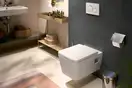 Кришка для унітазу SoftClose QuickRelease Hansgrohe EluPura Original Q  60150450