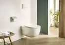 Кришка для унітазу Roca Meridian Slim Soft closing, білий (A8012B2002)