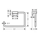 Полотенцедержатель Hansgrohe AddStoris, матовая бронза (41754140) фото 2 Aquada.com.ua