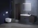 Підвісний унітаз-біде Geberit AquaClean Sela (унітаз білий мат/панель білий мат)  146.224.JT.1