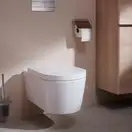 Унітаз підвісний AquaFall Flush (безободковий) Hansgrohe EluPura S (БЕЗ СИДІННЯ)  60193450