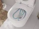 Унітаз підвісний AquaFall Flush (безободковий) Hansgrohe EluPura S в комплекті з сидінням SoftClose  60193450 + 60148450