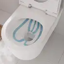Унітаз підвісний AquaFall Flush (безободковий) Hansgrohe EluPura S в комплекті з сидінням SoftClose  60193450 + 60148450
