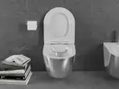 Подвесной унитаз MEXEN LENA SILVER WHITE (MEX-30224004)