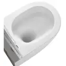 MIXXUS PREMIUM Ellipse Подвесной унитаз, белый (MP6465)