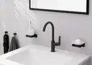 Hansgrohe Logis 210 Змішувач для раковини, чорний матовий (71130670)
