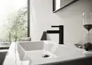 Смеситель для раковины Hansgrohe Finoris (цвет - чёрный матовый), с донным клапаном Push Open (76010670) фото 2 Aquada.com.ua