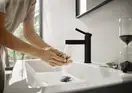 Смеситель для раковины Hansgrohe Finoris (цвет - чёрный матовый), с донным клапаном Push Open (76010670) фото 3 Aquada.com.ua