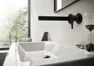 Смеситель для раковины настенный Hansgrohe Finoris (цвет - чёрный матовый), излив 225 мм (76050670) фото 2 Aquada.com.ua