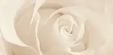 OPOCZNO Декор Effecta Beige 29,7x60 код 6662 Опочно (TDZZ1058232636)
