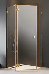 Душові двері Essenza Pro Gold PTJ ліві, RADAWAY (10100000-09-01L)