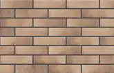 CERRAD Retro Brick Masala Плитка фасадна, 6,5x24,5 (5901779371948)