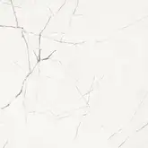Плитка керамогранітна STA VP6 120 LP LAP 1200x1200x6 Imola
