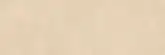 PARADYZ Serene Beige Плитка стінова, бежева (S-R-250X750-1-SERE.BE)