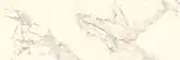 PARADYZ Serene Bianco RECT Плитка стінова, біла (S-R-250X750-1-SERE.BI)