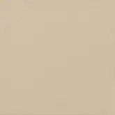 Плитка підлогова Bazo Beige Monokolor MAT 30x30 код 4949 Ceramika Paradyz (Q---300X300-1-BAZO.BEMO)