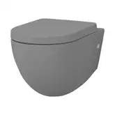 Унітаз підвісний із кришкою ArtCeram File 2.0 Soft-close, grigio oliva (FLV004 15; 00/FLA002 15) (FLV004 15; 00_FLA002 15)