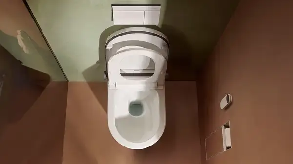 Унітаз із функцією біде Hansgrohe Complete Set LavaPura Element S  63021450