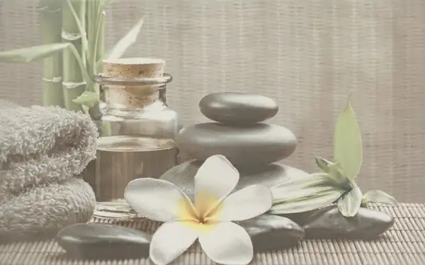 Cersanit Декор Olivia Grey Spa1 25x40 код 9250 Церсаніт (TDZZ1213756040)