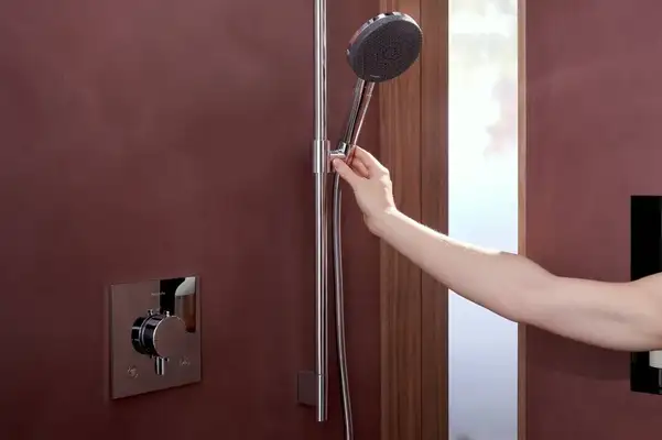 Hansgrohe Raindance Alive Select S EcoSmart Гарнитур, хром (24602000)