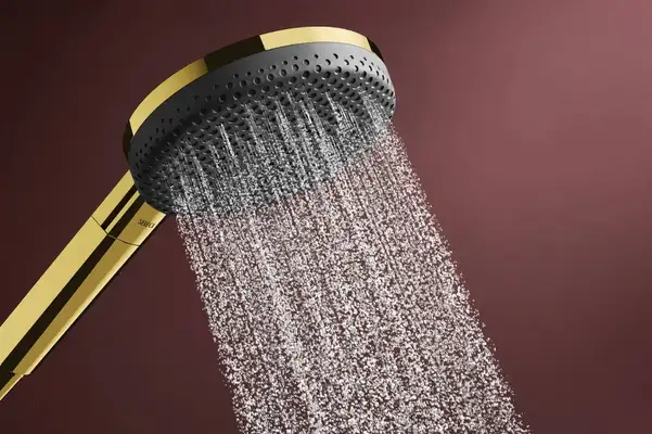 Hansgrohe Raindance Alive Select S Душ. гарнитур, полир. золото (24602990)