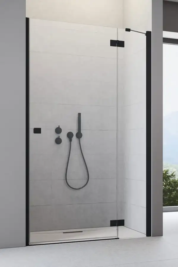 Душові двері Essenza New Black DWJ 120 праві, RADAWAY (385016-54-01R)