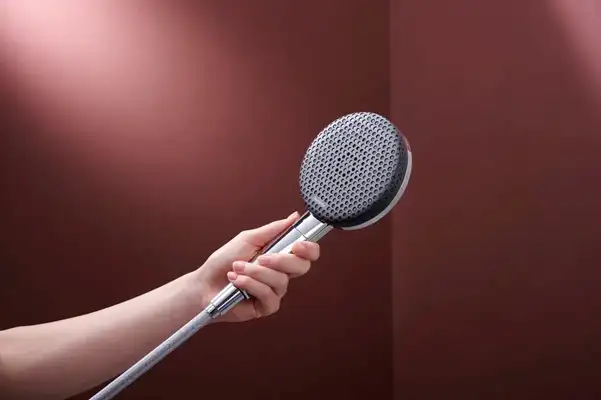 Hansgrohe Raindance Alive S 300 Душевая система, хром (24596000)