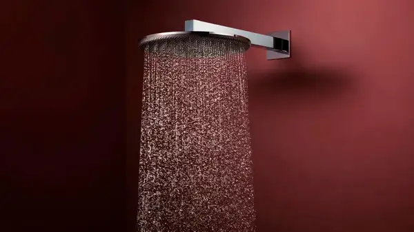Hansgrohe Raindance Alive S 300 Душ. система, хром (24630000)