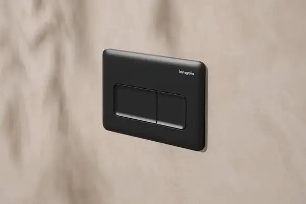 Hansgrohe iFrame Original Q Кнопка смыва, Matt Black (66001670)