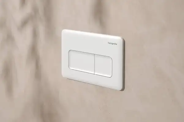 Hansgrohe iFrame Original Q Клавиша смыва, Matt White (66001700)