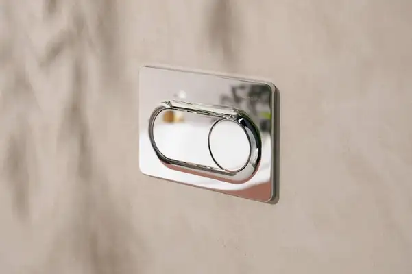 Hansgrohe iFrame Original S Клавиша смыва, хром (66002000)