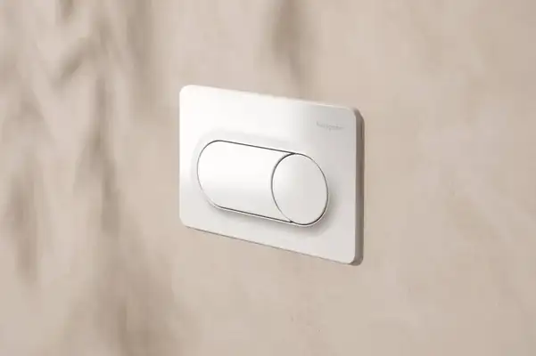 Hansgrohe iFrame Original S Клавиша смыва, Белая (66002450)