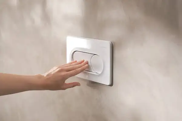 Hansgrohe iFrame Original S Клавиша смыва, Белая (66002450)