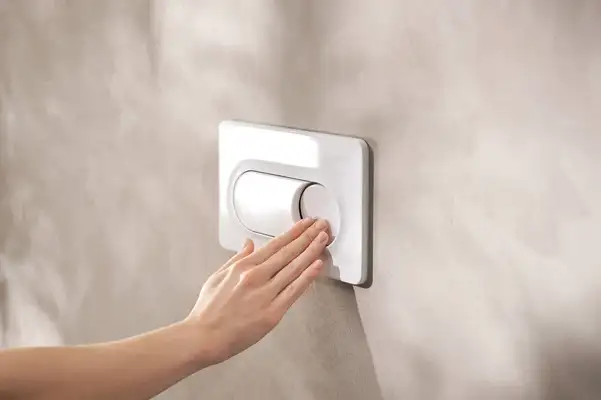 Hansgrohe iFrame Original S Клавиша смыва, Белая (66002450)