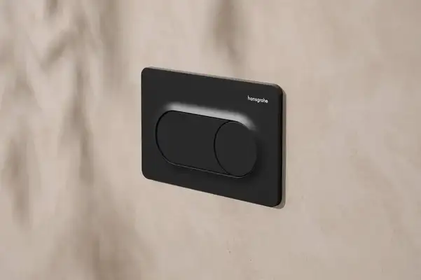 Hansgrohe iFrame Original S Кнопка смыва, Матовый черный (66002670)