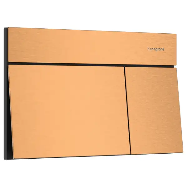 HANSGROHE iFrame Element E Клавиша смыва, Brushed Bronze (66003140)
