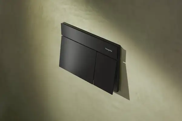 Hansgrohe iFrame Element E Кнопка смыва, матовый черный (66003670)