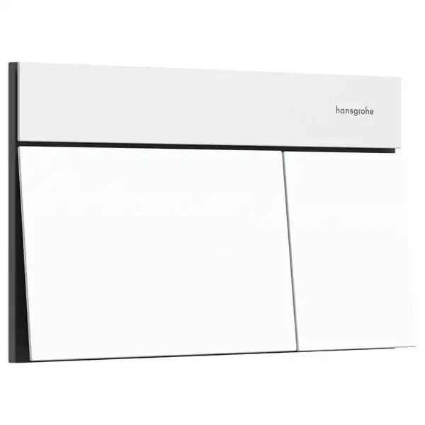 Hansgrohe iFrame Element E Кнопка смыва, Matt White (66003700)