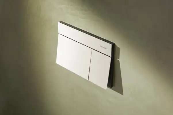 Hansgrohe iFrame Element E Кнопка смыва, Matt White (66003700)