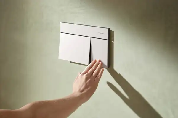 Hansgrohe iFrame Element E Кнопка смыва, Matt White (66003700)
