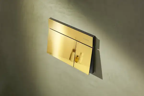HANSGROHE iFrame E Клавиша смыва, Polished Gold (66003990)