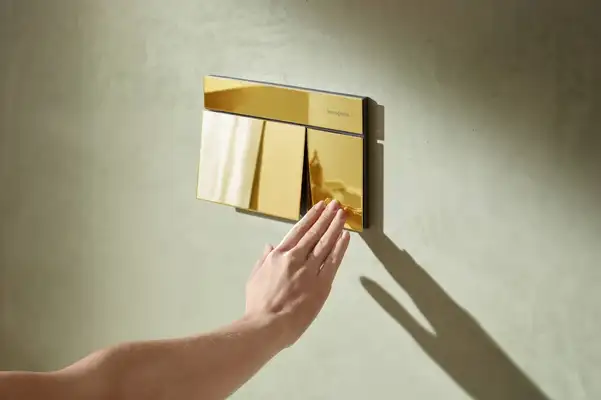 HANSGROHE iFrame E Клавиша смыва, Polished Gold (66003990)